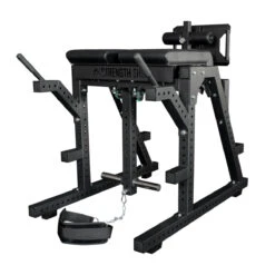 Reverse Hyper / GHD Combo Machine