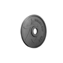 Deep Dish Cast Iron Plate Sets: 17.5kg / 90kg / 100kg & 107.5kg -Strength Shop Shop LayDEEP DISHES PLATES 3 be88975e 4a69 400b b073 1d6a70b3eac1